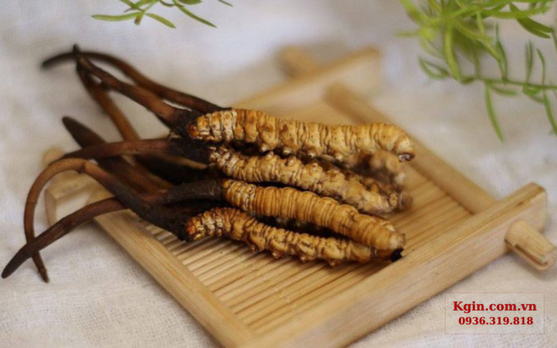 Dựa vào phần mắt