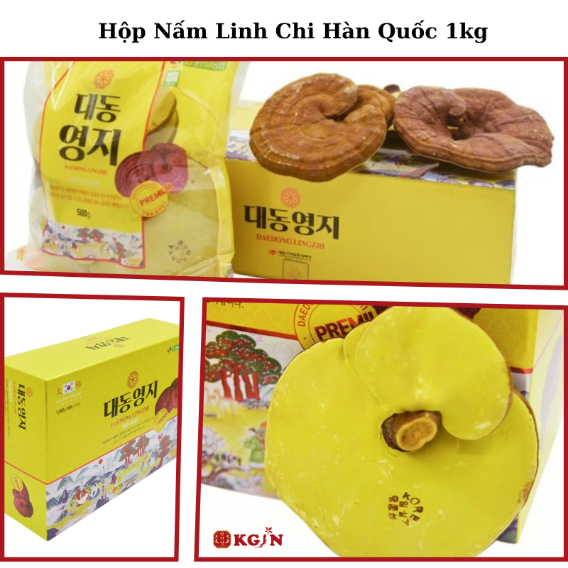 Công dụng nấm linh chi