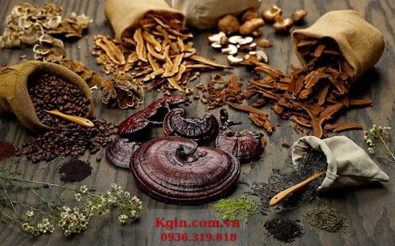 Sắc nấm linh chi cùng dược liệu Đông y giúp nâng cao hiệu quả chăm sóc sức khỏe toàn diện, đặc biệt cho người suy nhược cơ thể.