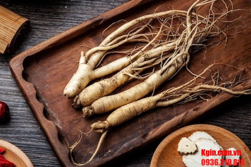 Công hiệu khác nhau giữa đẳng sâm và nhân sâm là gì?