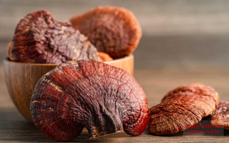 biết cách bảo quản tốt nấm linh chi