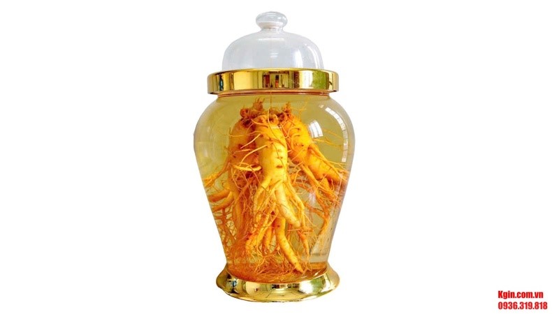 Mỗi chén rượu sâm mang lại nguồn năng lượng và sức sống mới mỗi ngày.