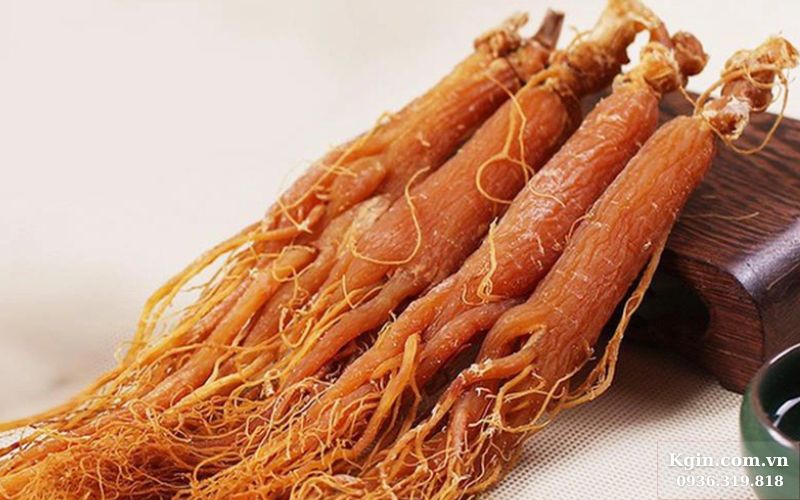 Nhân sâm đỏ Hàn Quốc chống oxy hóa
