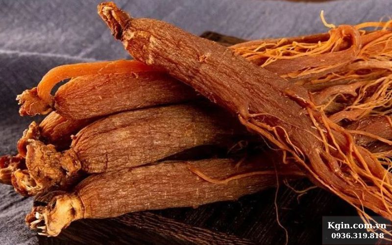 Nhân sâm đỏ Hàn quốc có tác dụng hỗ trợ điều hòa huyết áp và tim mạch