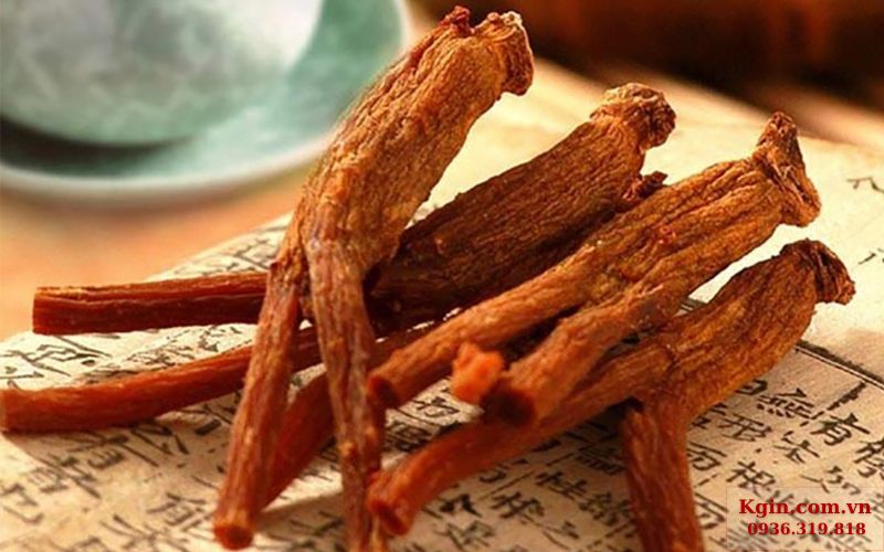 Nhân sâm đỏ Hàn Quốc hỗ trợ cải thiện trí nhớ và tăng khả năng tập trung