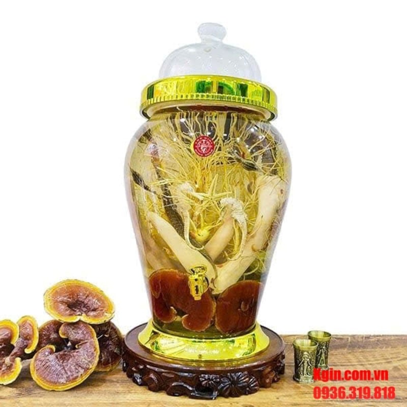 Có nên ngâm nhân sâm với nhung hươu không?