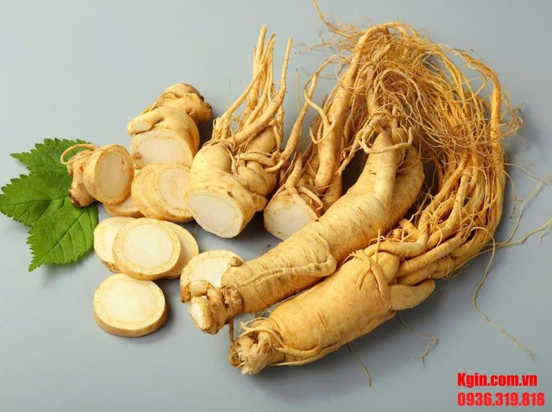 Có nên ngâm nhân sâm với nhung hươu không?