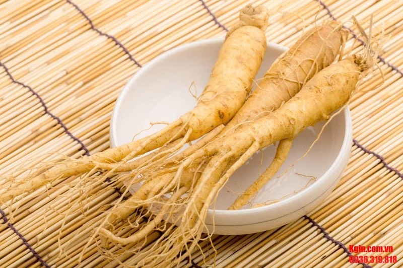 Nhân sâm Triều Tiên