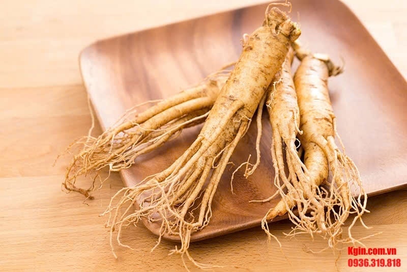 Công dụng của nhân sâm