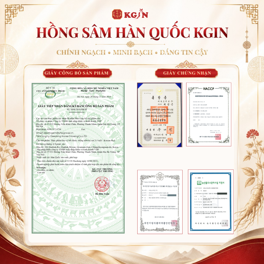 Hồ sơ công bố chất lượng minh bạch của sản phẩm nhập khẩu chính ngạch